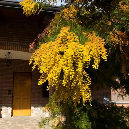 Villa Anna Moncalieri